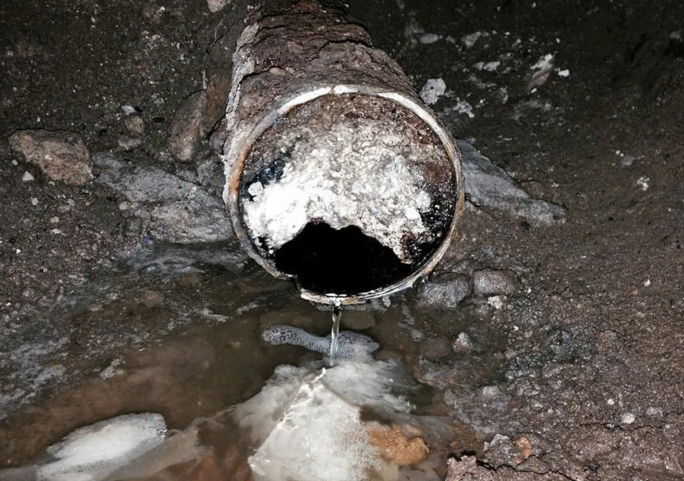 Common Causes of Sewer Line Clogs