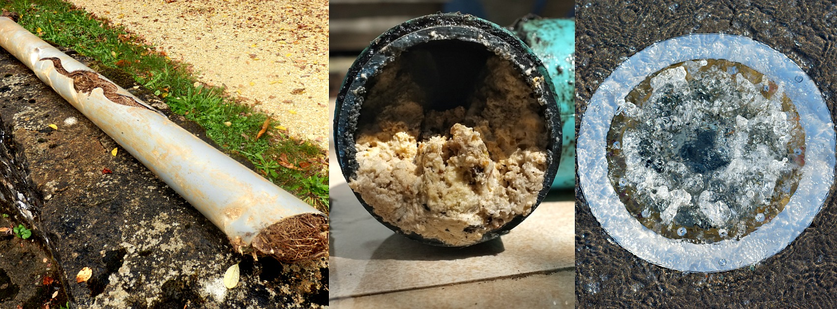signs of a clogged sewer line